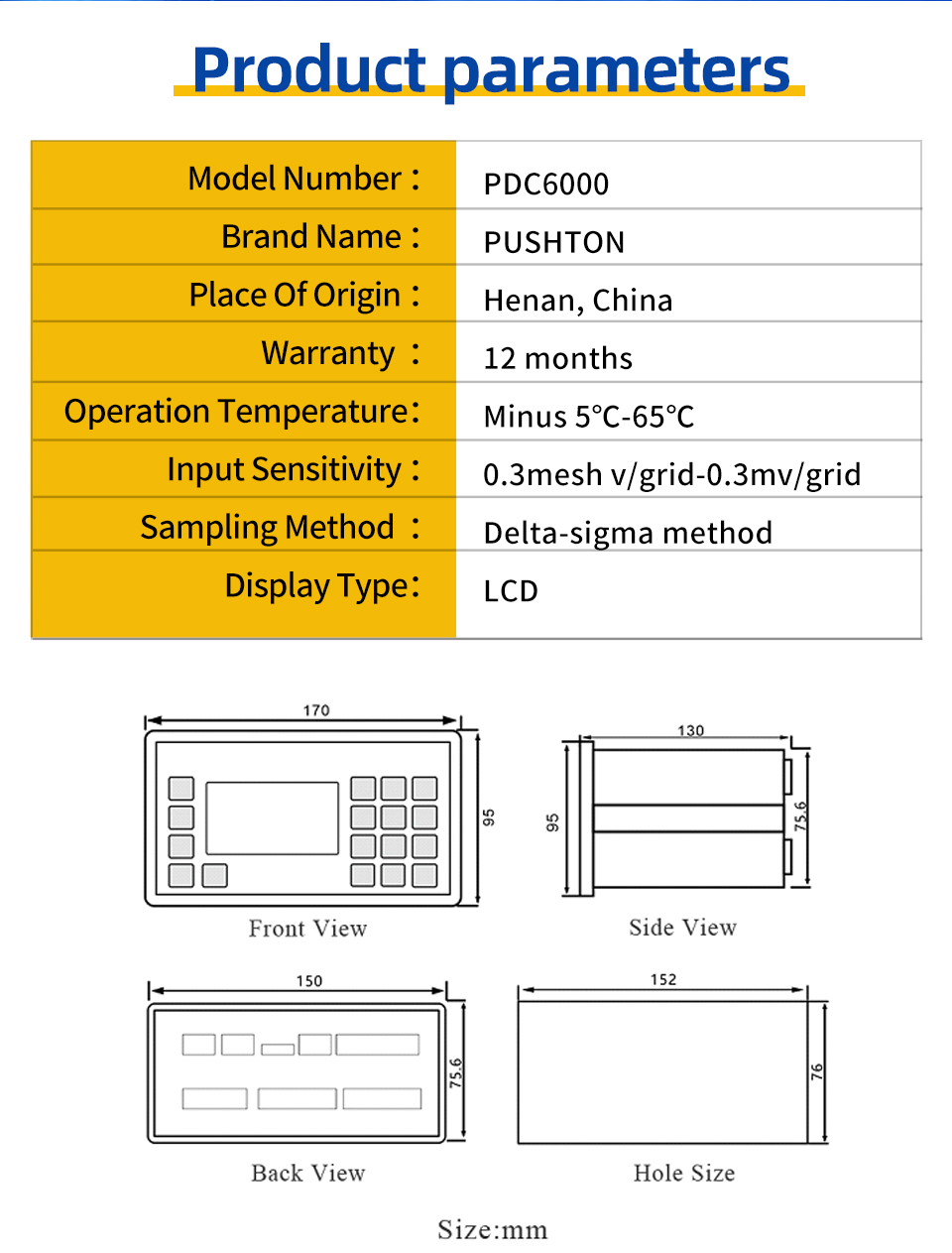 PCD6000 Electronic Belt Scale