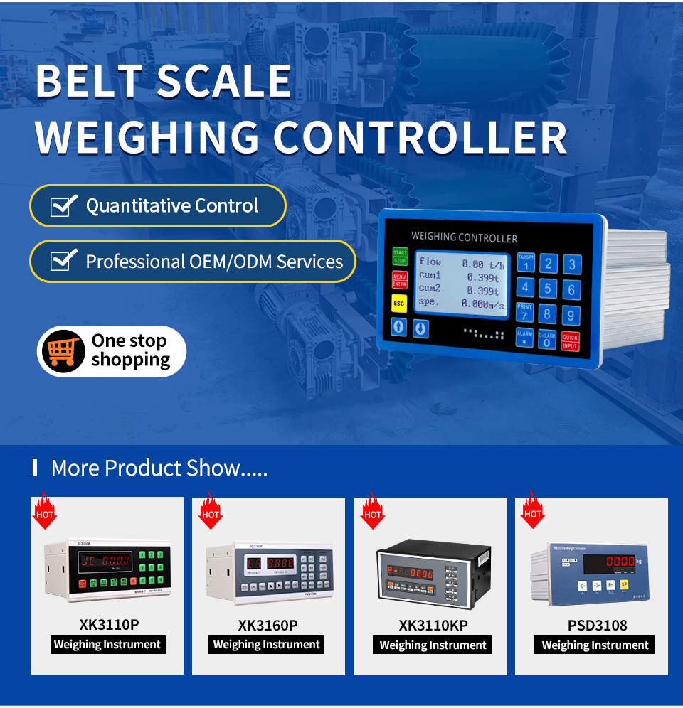 PCD6000 Electronic Belt Scale